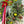 Holiday Wreath Workshop 11/22/25