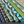 Special Small Papers