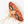 Beaded Moth Ornaments