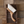 Dust Brush