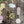 Keyring Flower Press - Greens & Yellows