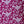 Patterned Paper Songbird Bramble