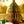 CHRISTMAS TREE HONEYCOMB