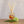 Accent Botanical Reed Diffuser - Sugared Citrus
