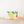 KELLY LEMON TREE WRISTLET