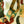 FESTIVE PAPER CHAIN KIT