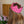 Pink Paper Crowns