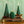 Signature Sculpted Tree Candle - Forest