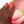 Nail Polish - Pulp