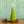 Accent Sculpted Tree Candle - Winterberry Frost