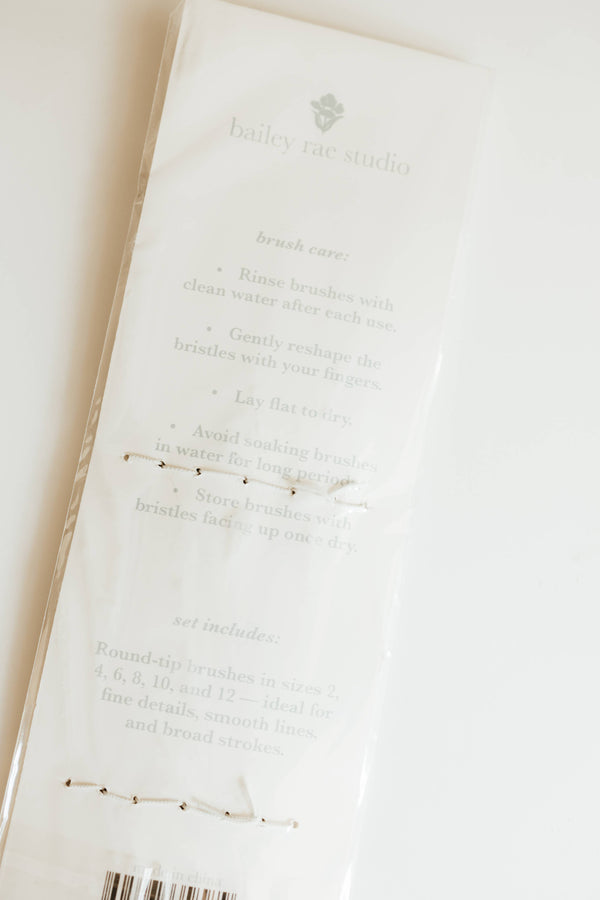 Round Tip Watercolor Brush Set -- 6 piece