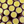 Tallow Lip Butters