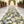 Garden Mist Blend™ Ivory Rose Petals · Blue & Green Weddings