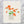 Nasturtiums Art Print. Signed. Unframed. 120926
