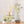 Accent Botanical Reed Diffuser - Sea Salt Mist