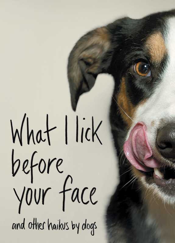 What I Lick Before Your Face by Jamie Coleman