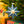 Midnight Star Screen-Printed Board Golden Star Screen-Printed Board Decoration