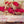 Oh My Deep Red Real Rose Petals Freeze-dried. Wedding USA