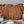 Bench Scraper, Wood Handle