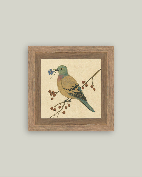 Peace Offering Dove