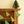 Midcentury Trees Sewn Garland