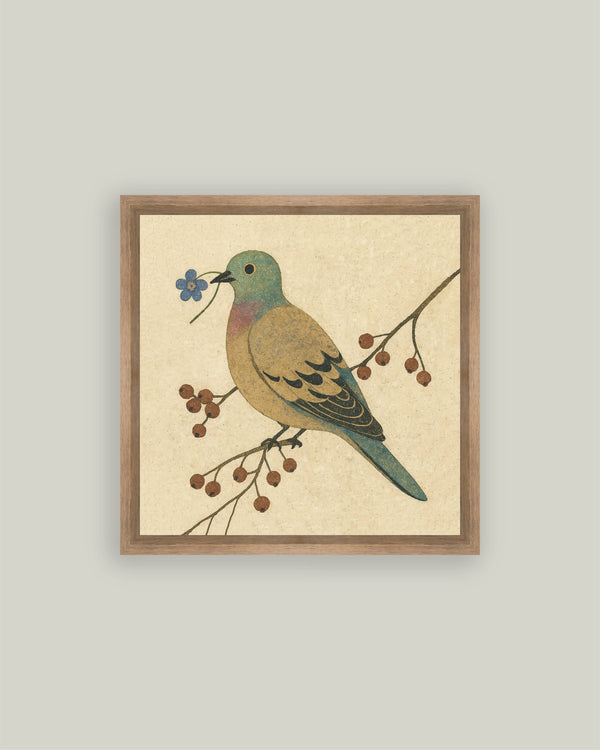 Peace Offering Dove