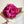 Peony Felt Flower (Magenta)
