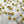 Brass Thumb Tacks