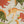 DINOSAURS SEWN GARLAND