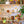 Fruit Sewn Garland