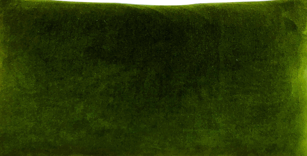 Velvet Ellie Wristlet