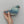 Bluebird of Happiness