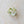 Eco Kylie Cellulose Acetate Hair Clip