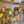 Fruit Sewn Garland