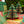 FIR TREE HONEYCOMB