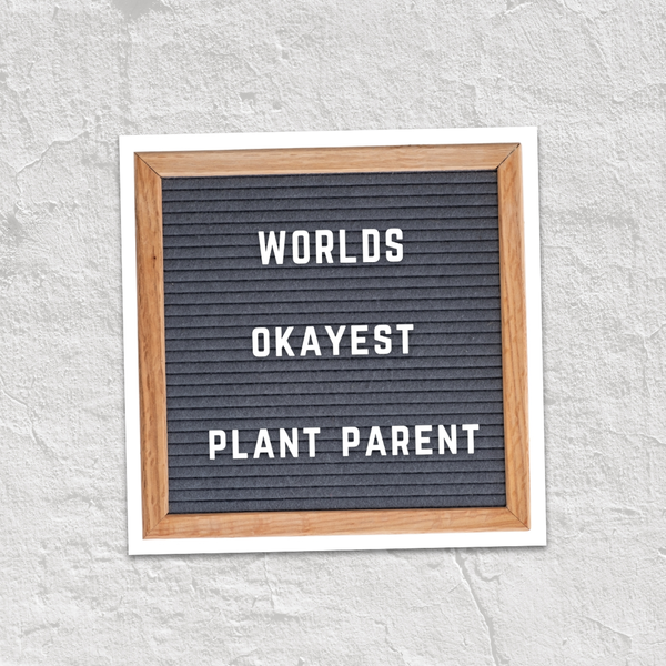Worlds Okayest Plant Parent Felt Board Sticker