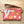 Tulips Wristlet