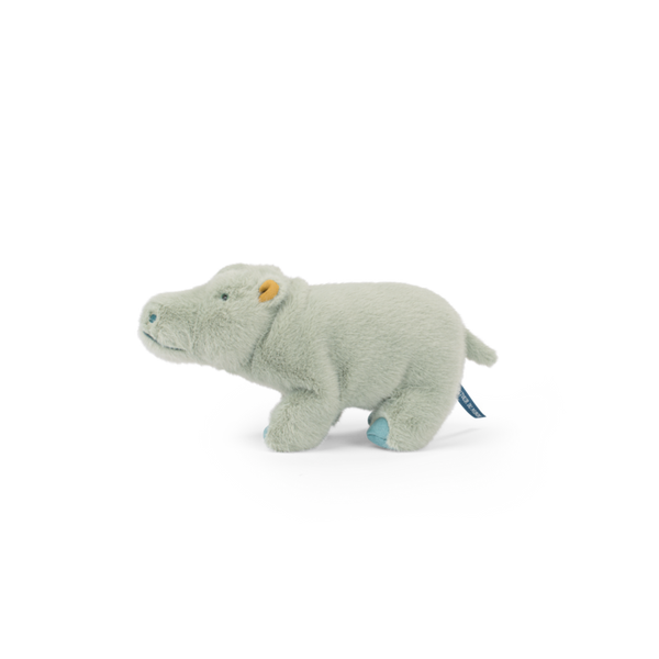 Small hippopotamus - All Around the World