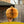 PUMPKIN HONEYCOMB