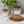 Vintage English Bread Board: Bread, Small, Natural