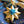 Golden Star Screen-Printed Board Decoration