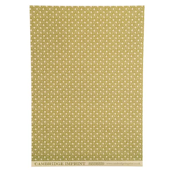 Patterned Paper Animalcules Bawden Green