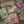 Rose Provin Petunia Matches |  Square - Safety Matches