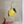 LEMON DROP II - Art Print (unframed)
