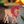 SAFARI ANIMALS SEWN GARLAND
