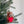 Felt Bear Holding Heart Ornament