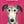 Rescue Dogs: Sally Muir