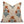Floral Block Print Linen Couch Cushion Cover - BADASHA