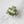 Eco Kylie Cellulose Acetate Hair Clip