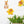 RABBITS SEWN GARLAND